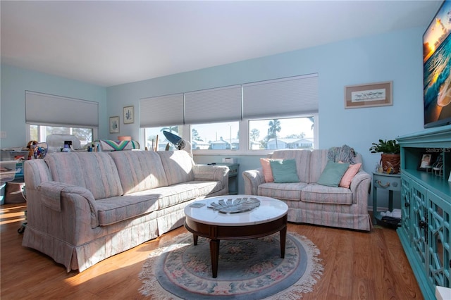 living room with hardwood / wood-style floors