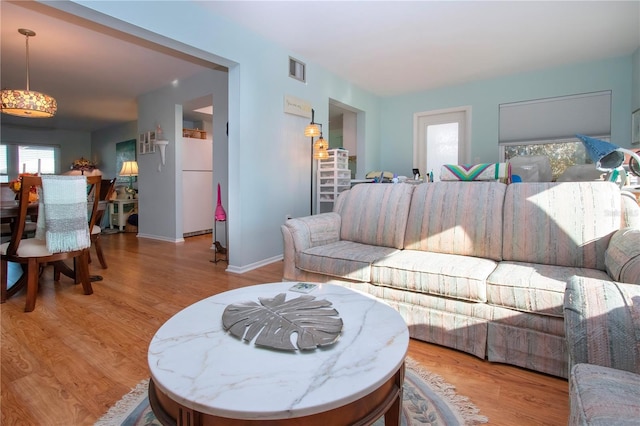 living room featuring light hardwood / wood-style floors and a wealth of natural light