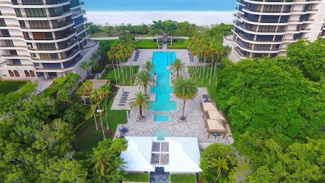 415 L Ambiance Dr Unit C703, Longboat Key, FL 34228 - aerial view of a pool area and a large body of water