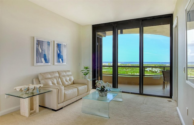 living room with floor to ceiling windows and light carpet