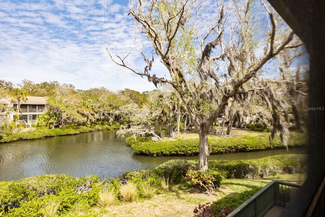 property view of water