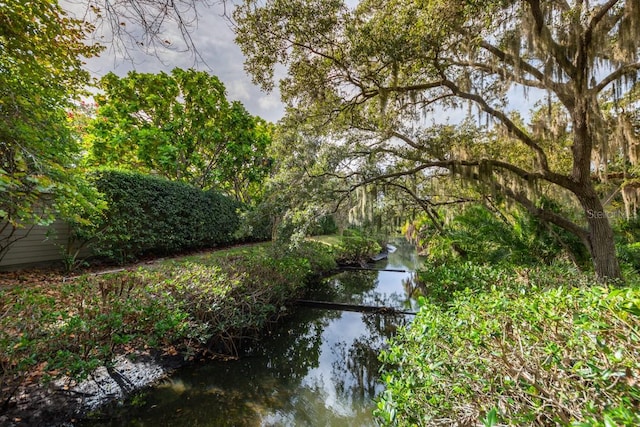 view of yard with a water view