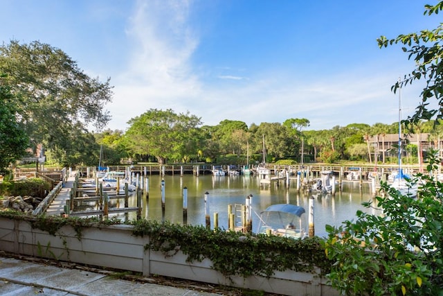 view of water feature featuring a boat dock