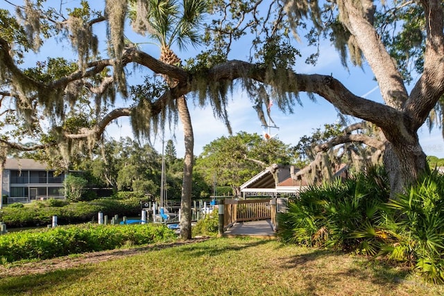 1519 Pelican Point Dr Unit 292, Sarasota, FL 34231 - view of grassy yard