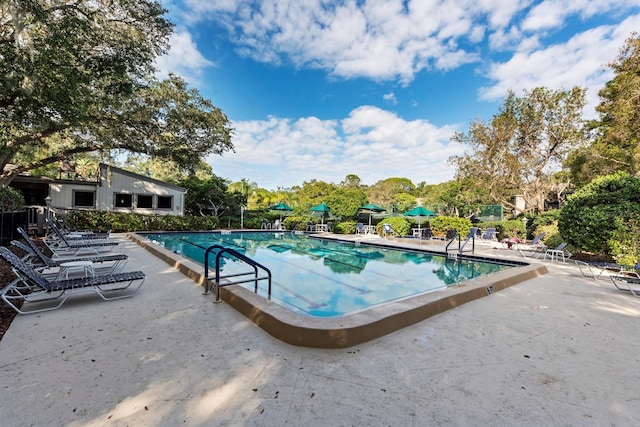 1519 Pelican Point Dr Unit 292, Sarasota, FL 34231 - community pool with a patio area and view of scattered trees