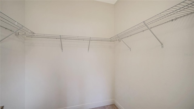 view of spacious closet