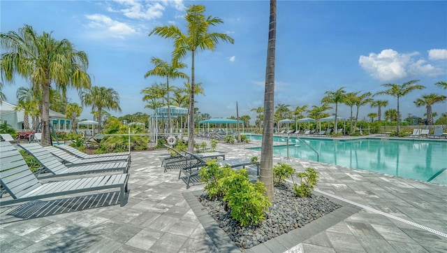 view of swimming pool with a patio area