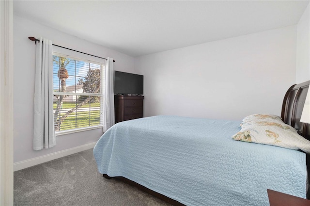 bedroom with carpet floors