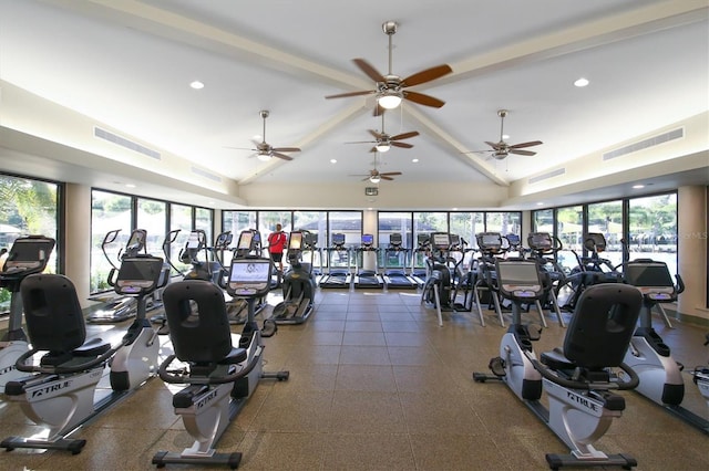 workout area featuring high vaulted ceiling, ceiling fan, and a healthy amount of sunlight