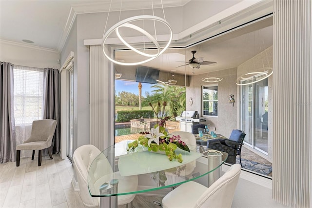 sunroom / solarium with ceiling fan