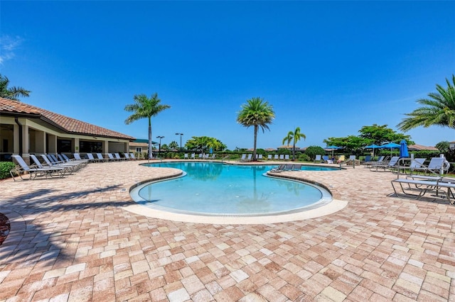 view of pool with a patio area