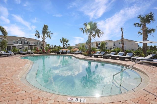 view of pool with a patio area