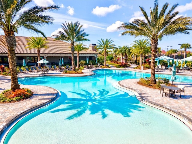 view of swimming pool with a patio