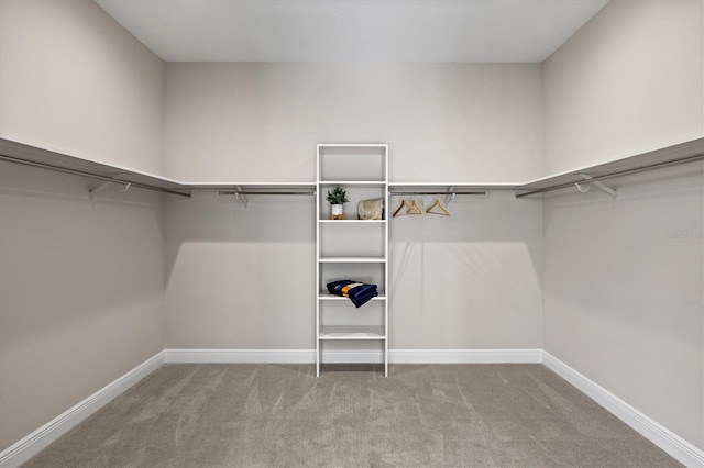 spacious closet featuring light carpet