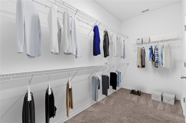 spacious closet featuring carpet flooring