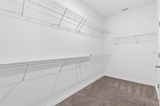 spacious closet with carpet floors