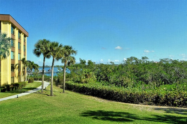 view of property's community featuring a yard