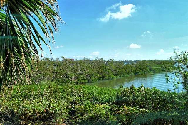 8779 Midnight Pass Rd Unit 206H, Sarasota, FL 34242 - water view