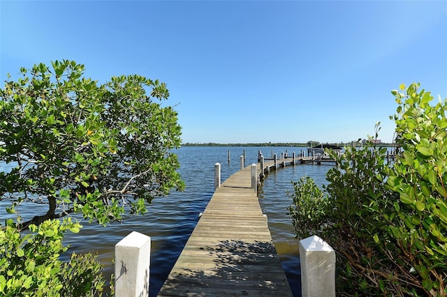 dock area with a water view