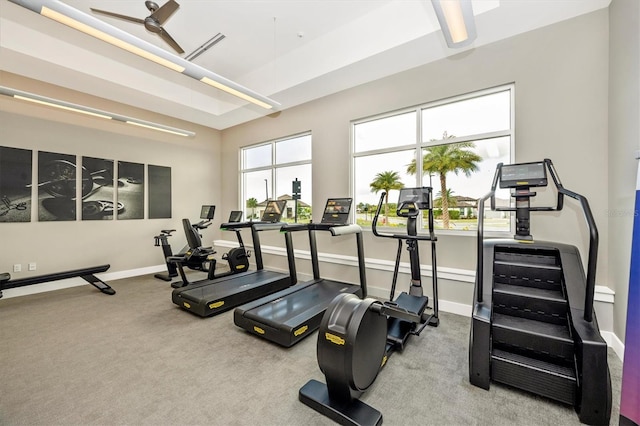 workout area featuring ceiling fan, a raised ceiling, and carpet