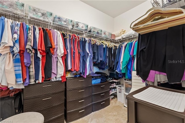 walk in closet with light colored carpet