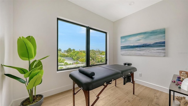 misc room with a wealth of natural light and light hardwood / wood-style flooring