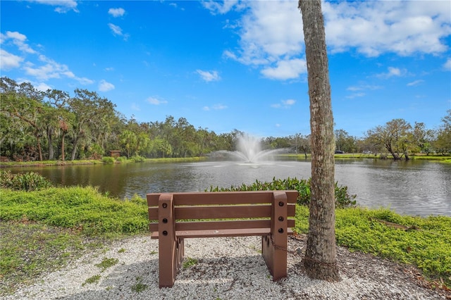 view of community featuring a water view