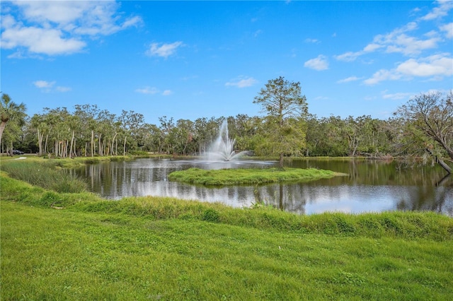 view of water feature