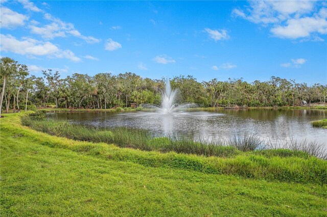 view of water feature