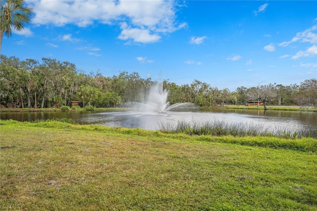 view of water feature