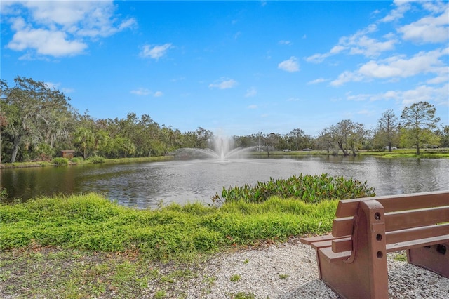 property view of water