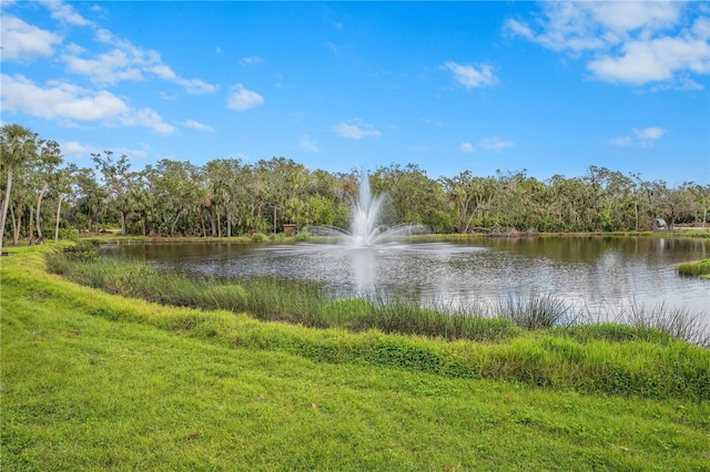 water view with a forest view