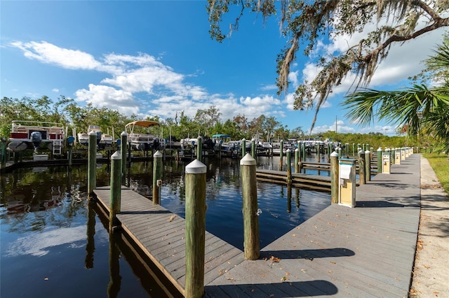 dock area featuring a water view