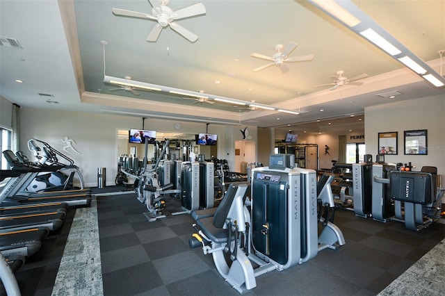 5431 Taliaferro Ct, Palmetto, FL 34221 - workout area with a raised ceiling, plenty of natural light, and ceiling fan