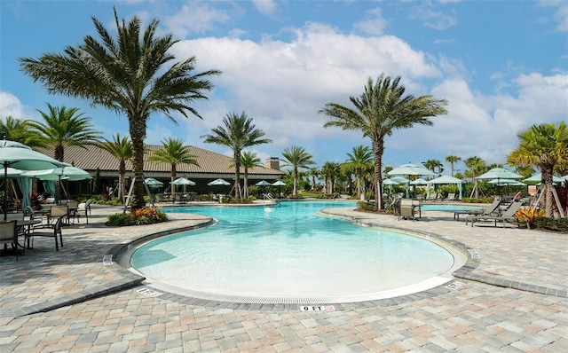 view of pool featuring a patio area