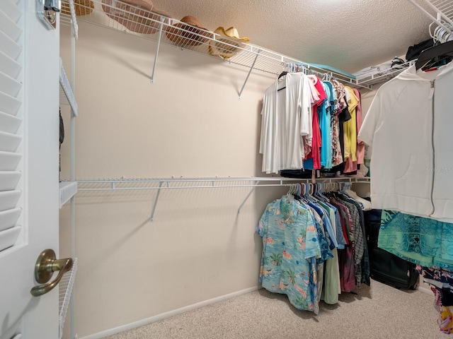 walk in closet with carpet floors