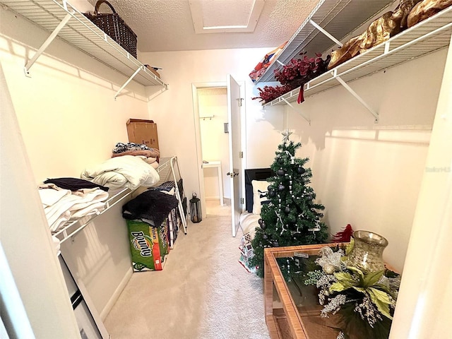 spacious closet featuring carpet floors