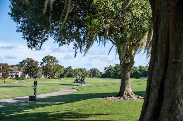 view of community with a lawn