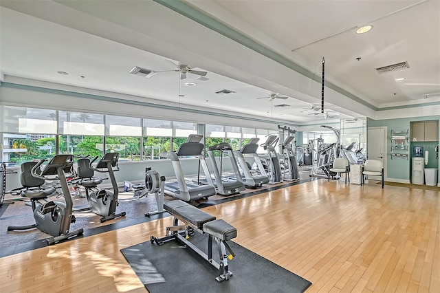 exercise room featuring wood-type flooring and ceiling fan