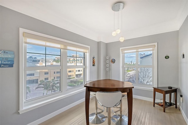 dining room with a wealth of natural light and light hardwood / wood-style flooring