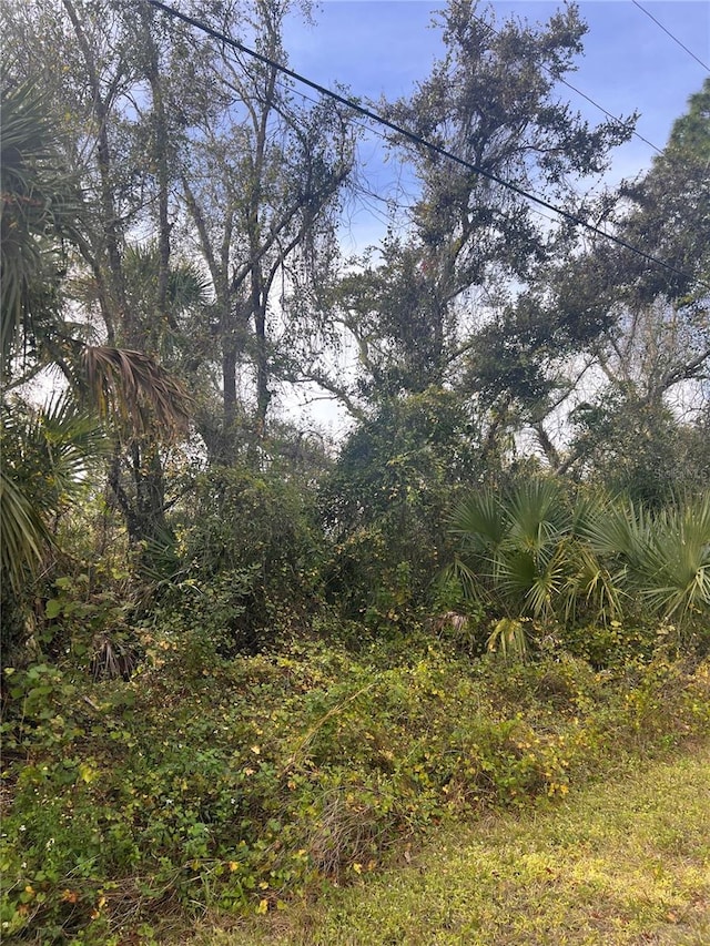 Listing photo 3 for Firebrand Rd, North Port FL 34288