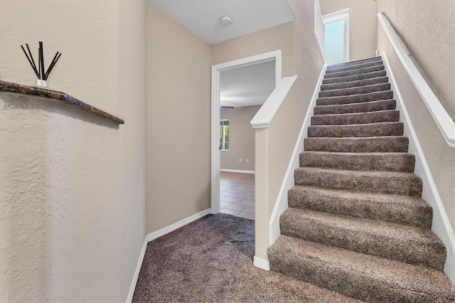 stairs with carpet