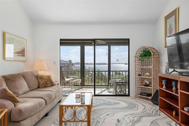 carpeted living room featuring a textured ceiling