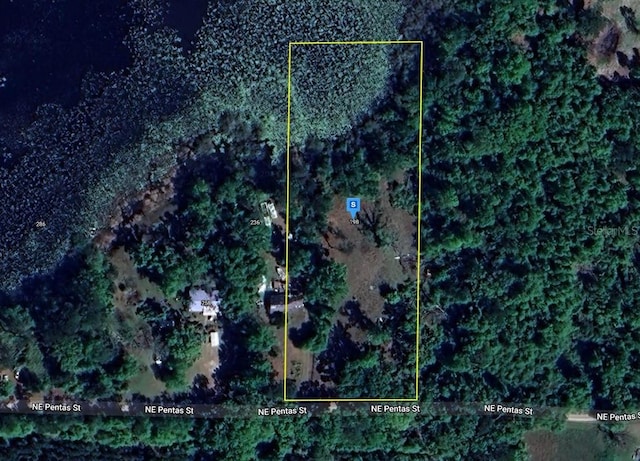 198 NE Pentas St, Madison FL, 32340 land for sale