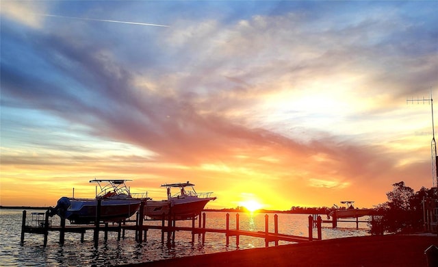 dock area with a water view