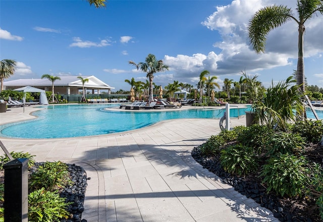 view of pool featuring a patio area