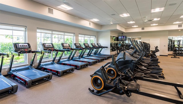 workout area featuring a paneled ceiling, plenty of natural light, ceiling fan, and carpet flooring