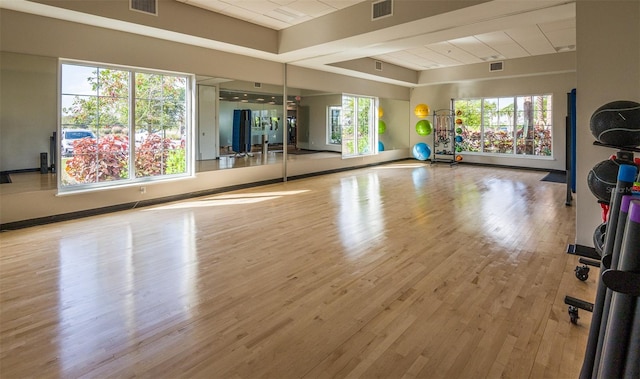 exercise area with plenty of natural light and light hardwood / wood-style floors