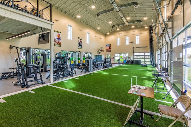 exercise room featuring high vaulted ceiling