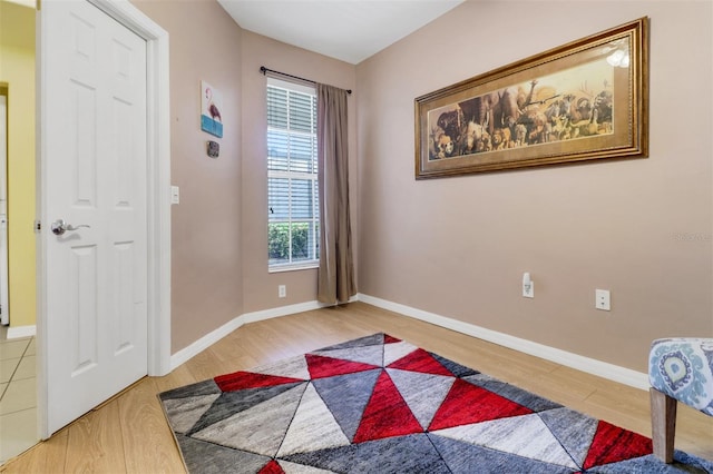 entrance foyer featuring wood-type flooring